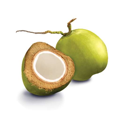 coco